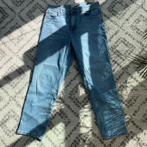 Everlane Curvy Cheeky Jean